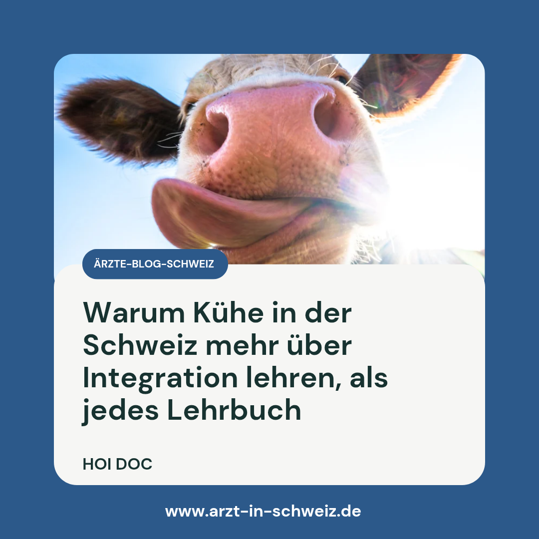 Kühe & Integration: Was Ärztinnen/Ärzte in der Schweiz lernen