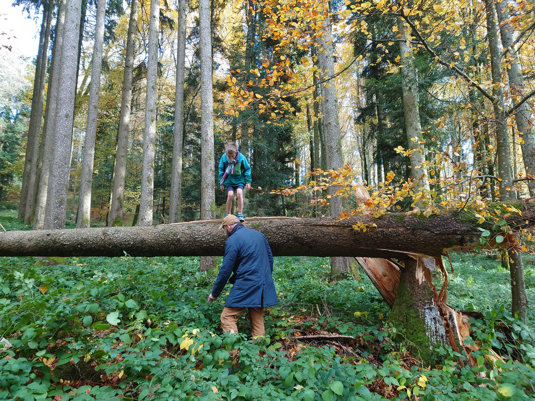 Mut zum Neuanfang: Als Arzt sicher in die Schweiz auswandern